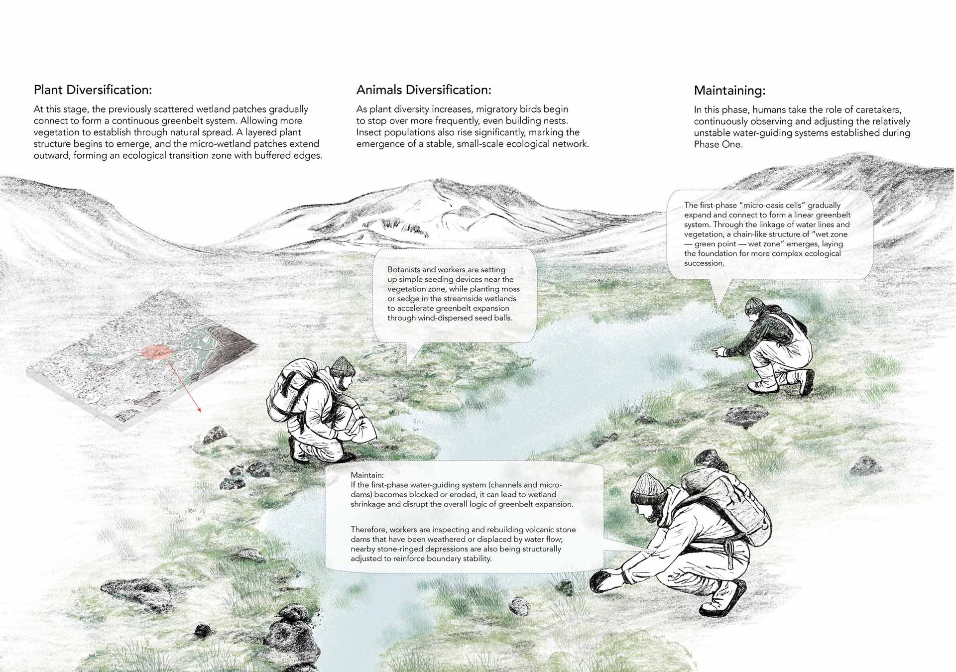 Site 3 strategy step - 2