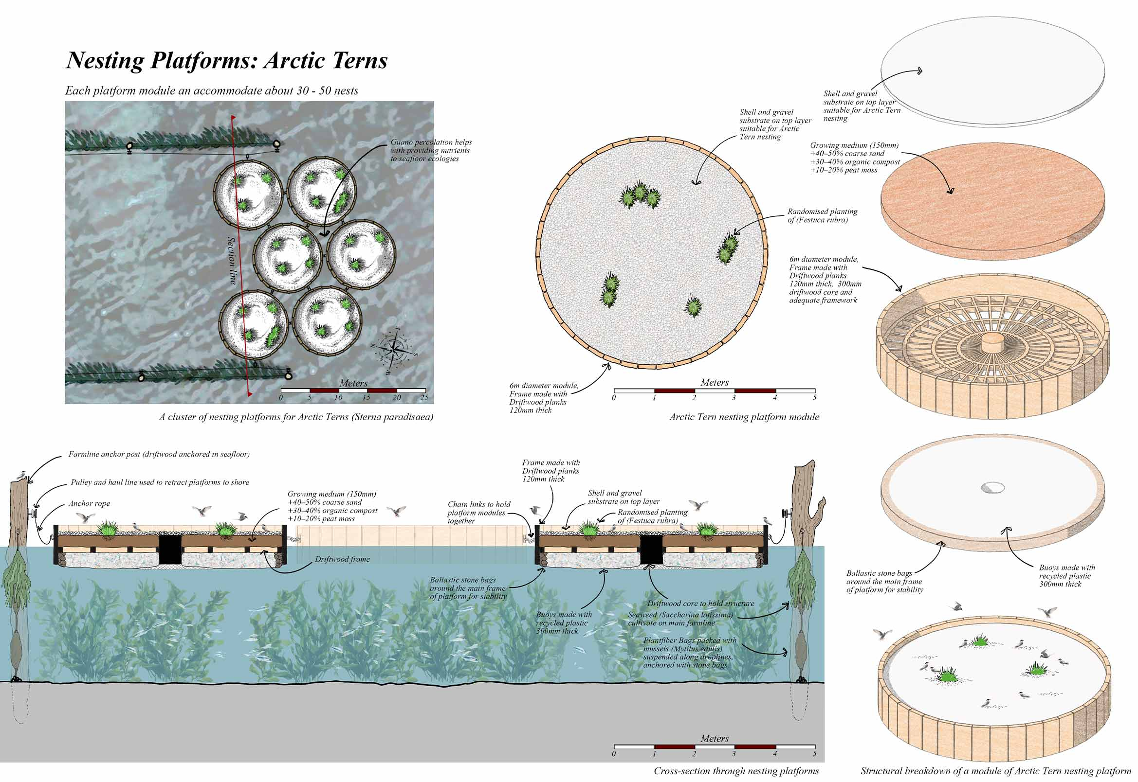 Floating Nesting Platforms for Arctic Terns