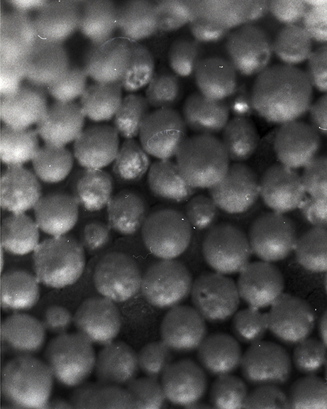 A close up of a cluster of metal beads.