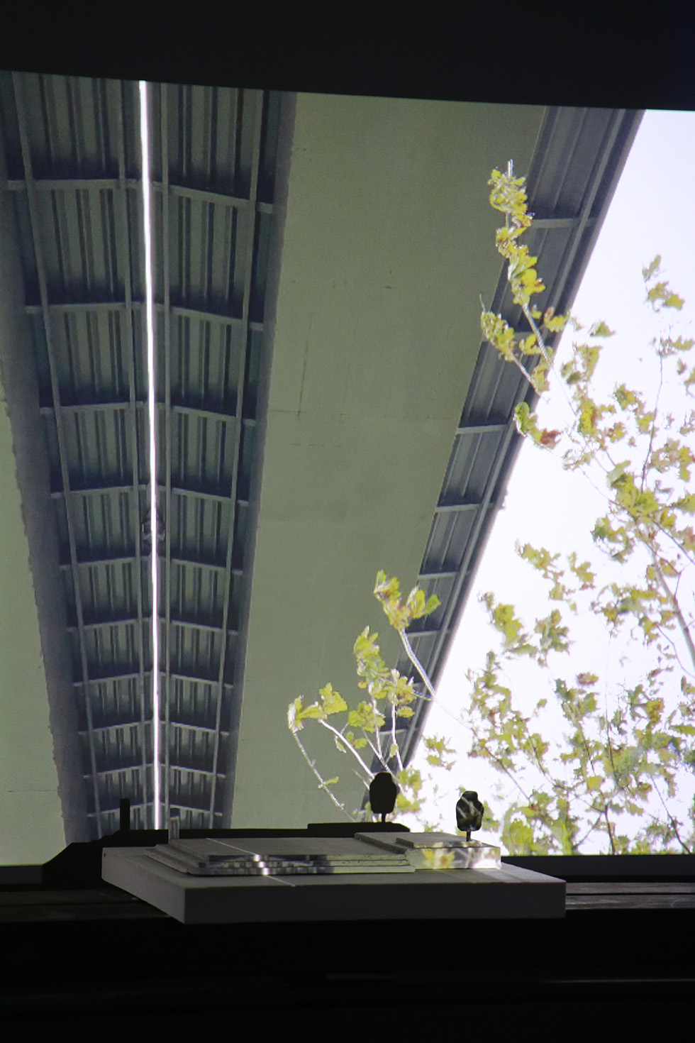 edge structure 3 model 1