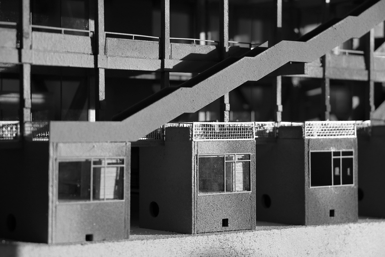 daire haven model pic 1