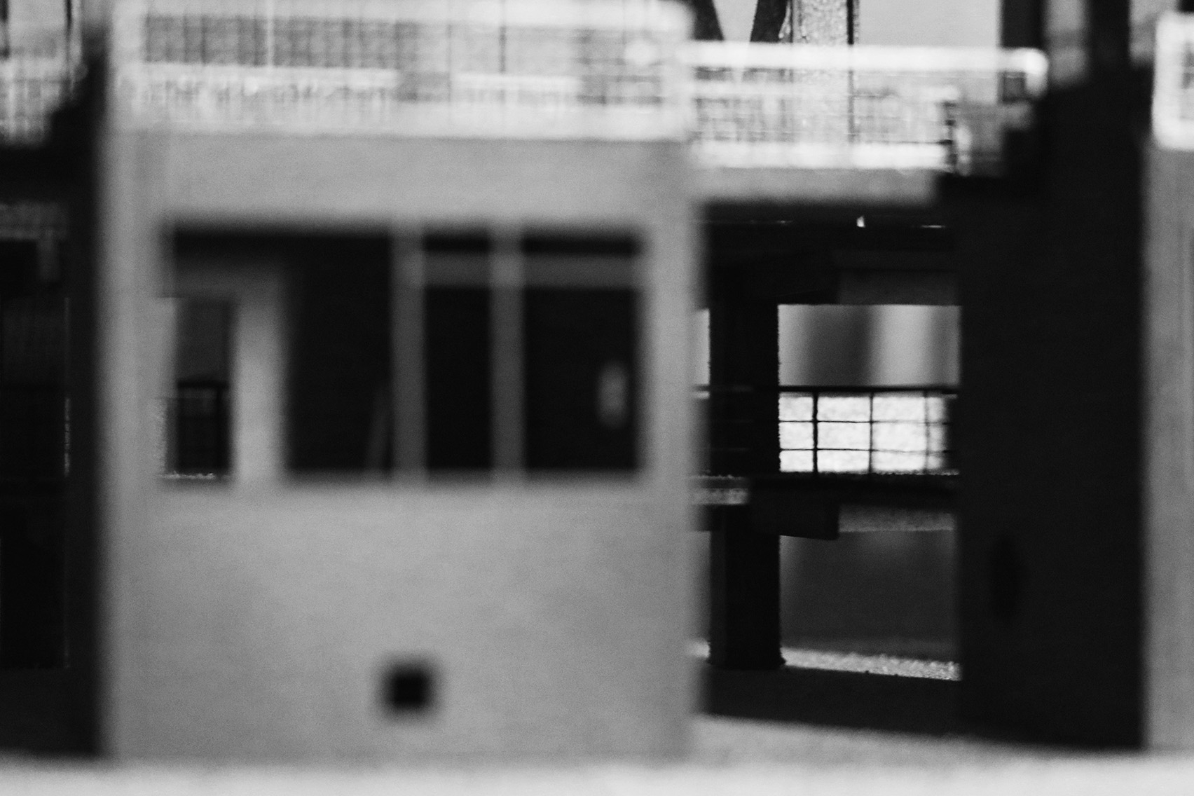 daire haven model pic 8