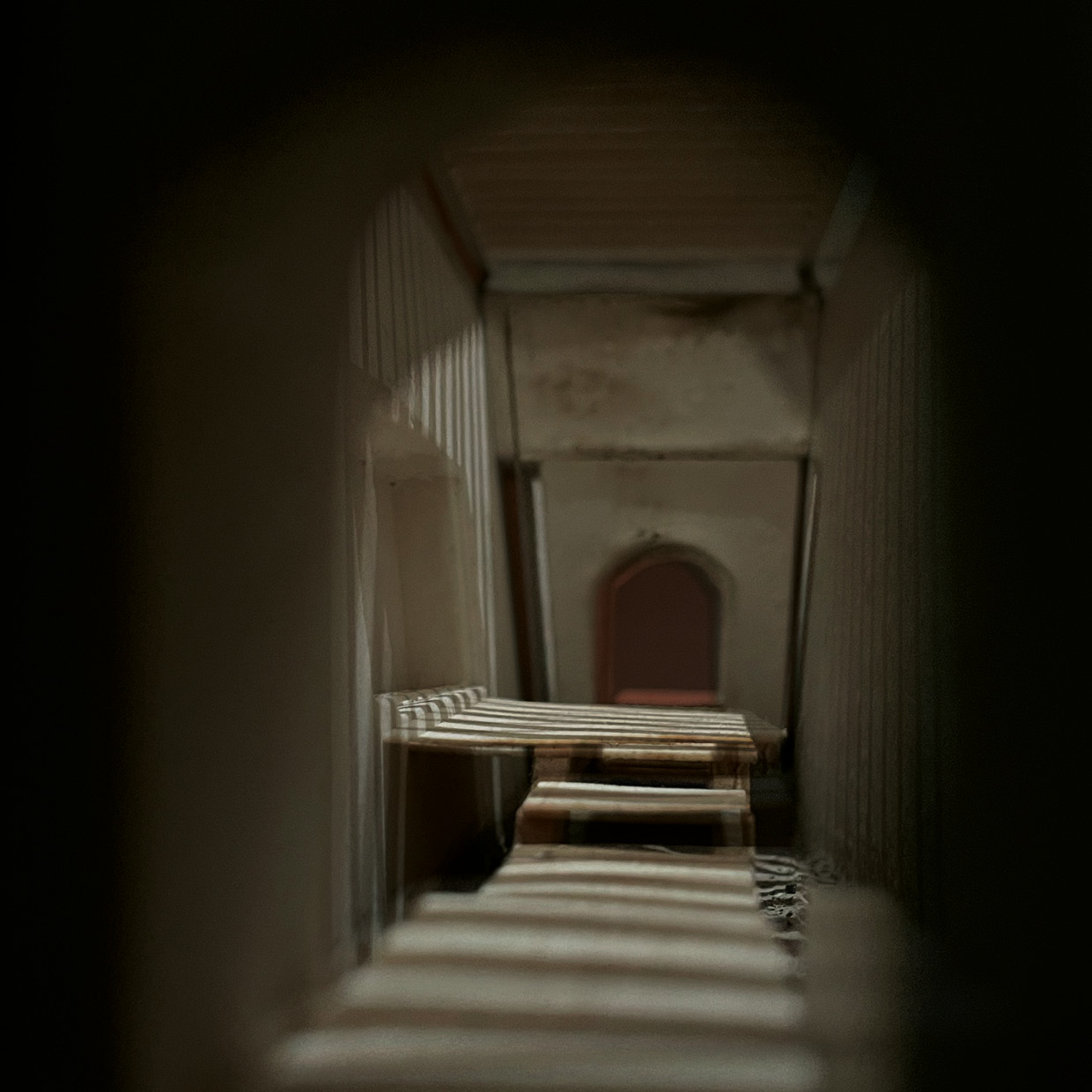 Ruin ecologies, 1:50 model photograph