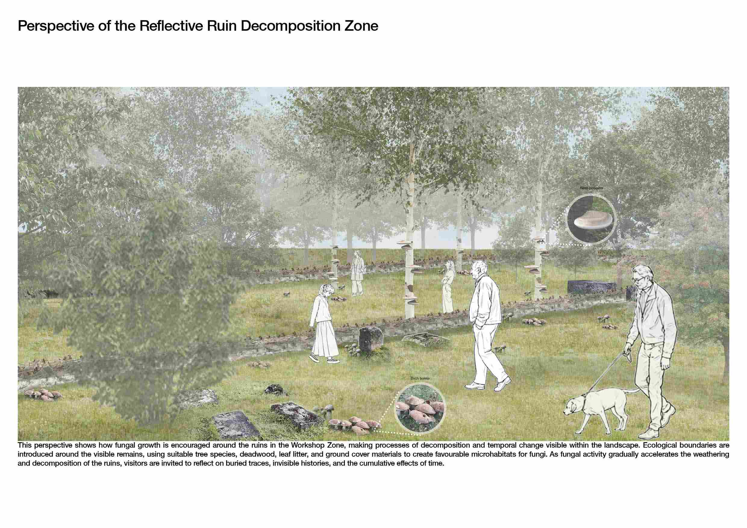 Perspective of the Reflective Ruin Decomposition Zone