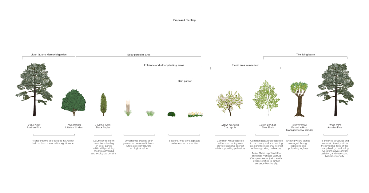 DetailedDesign_Proposed planting