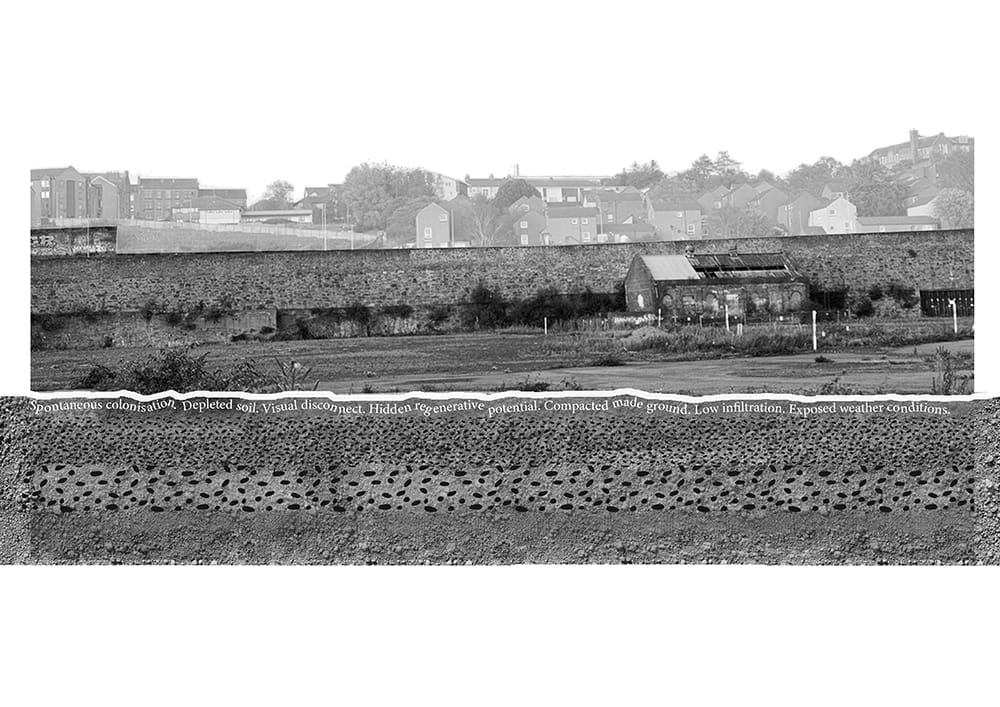 Existing site (north-facing)