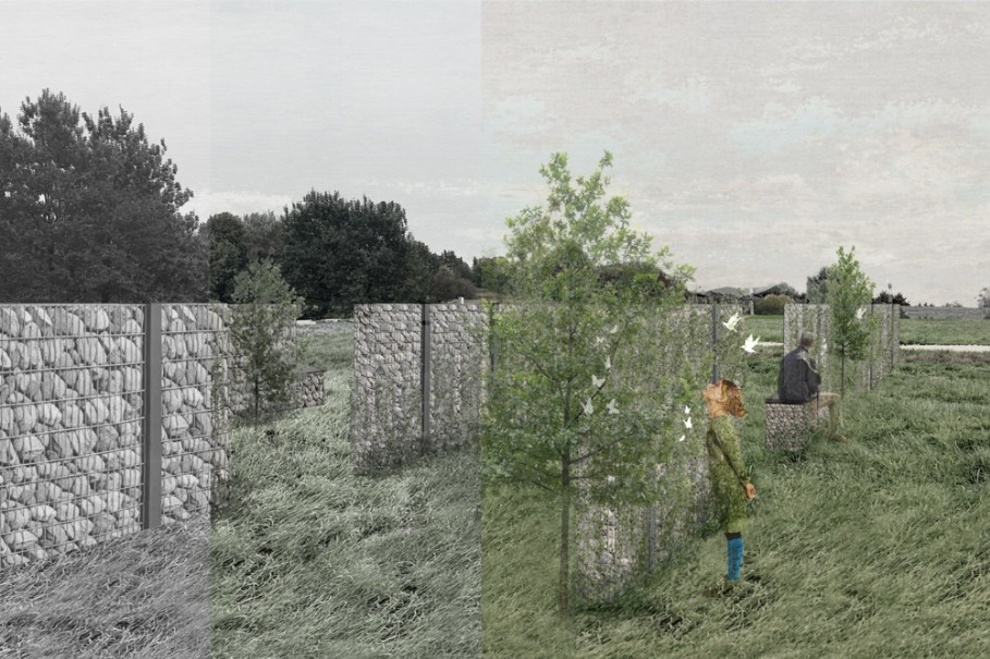 WANG HAOXUAN_Between Fading and Return