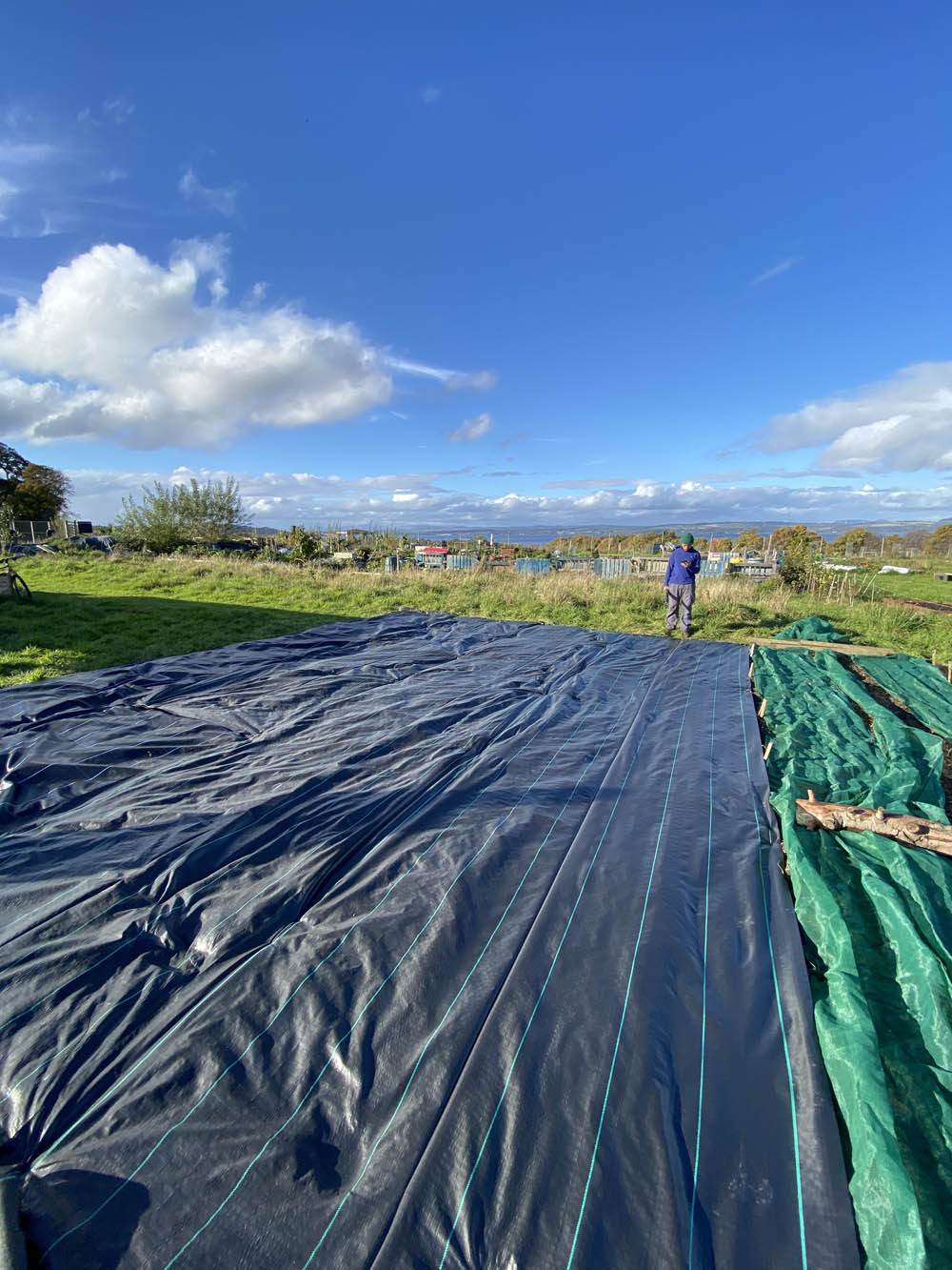 A photo of a vegetable patch covered with tarpaulin on a sunny day