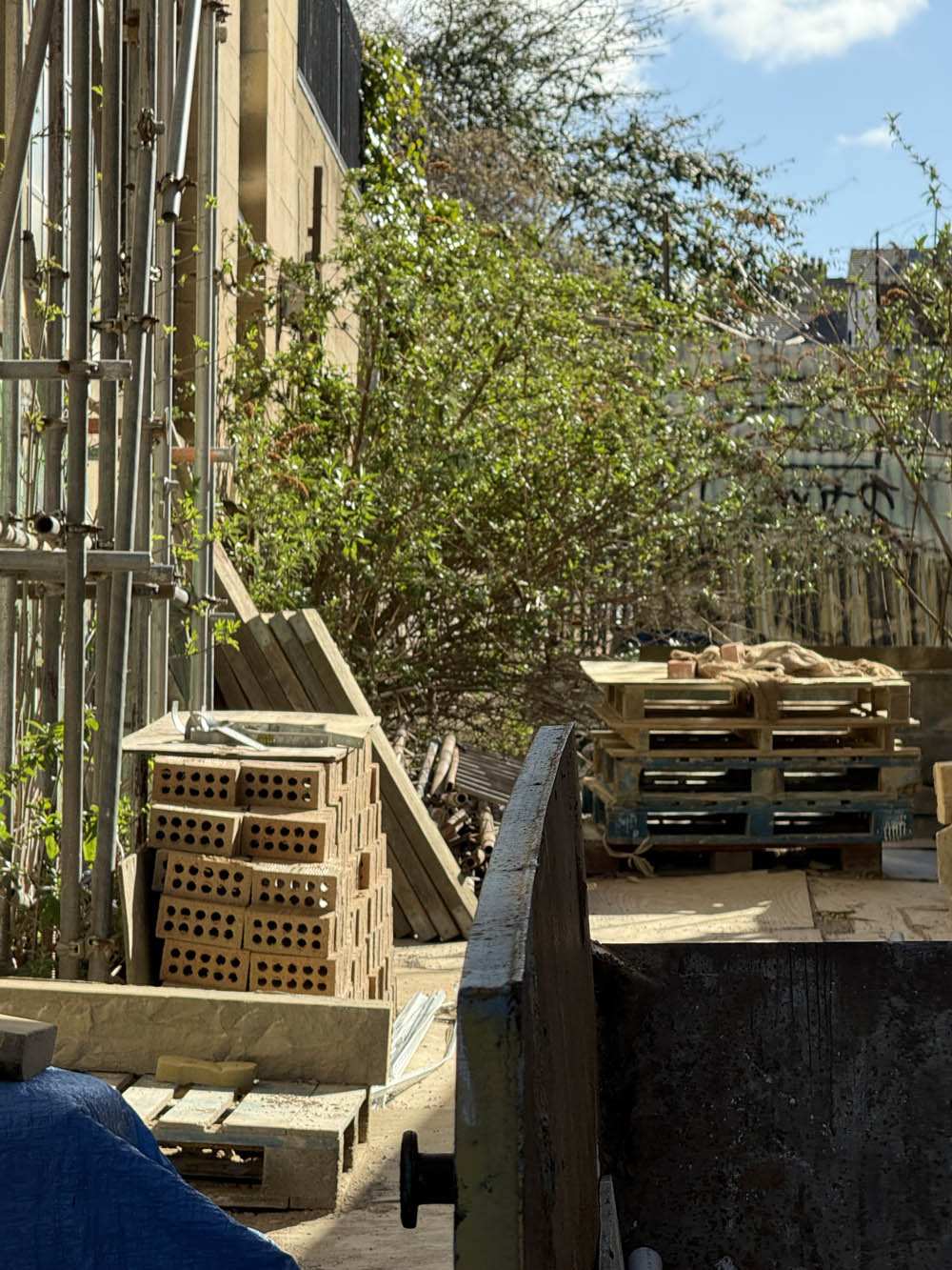 Close up on clutter in the alley, stray vegetation visible