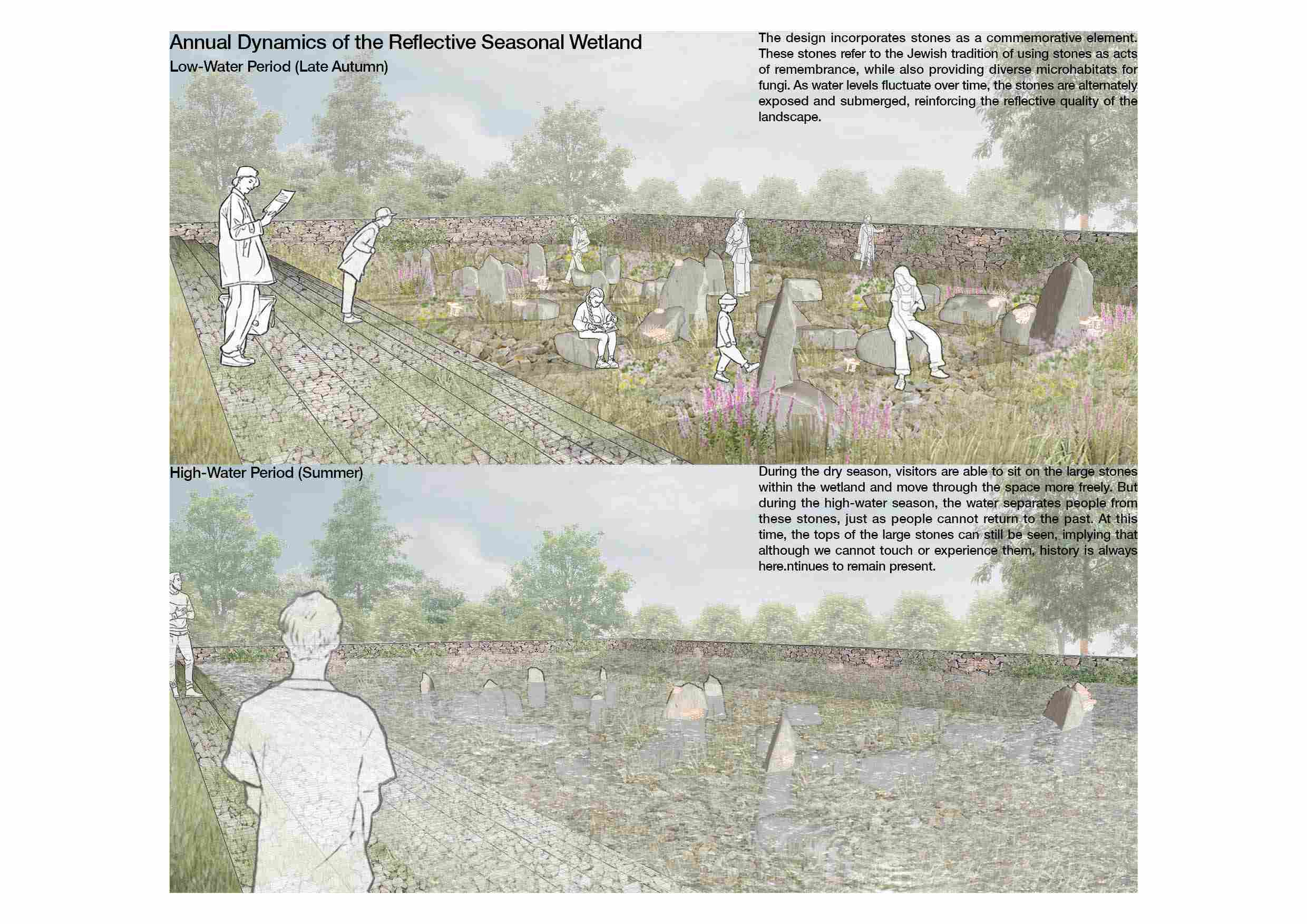 Annual Dynamics of the Reflective Seasonal Wetland