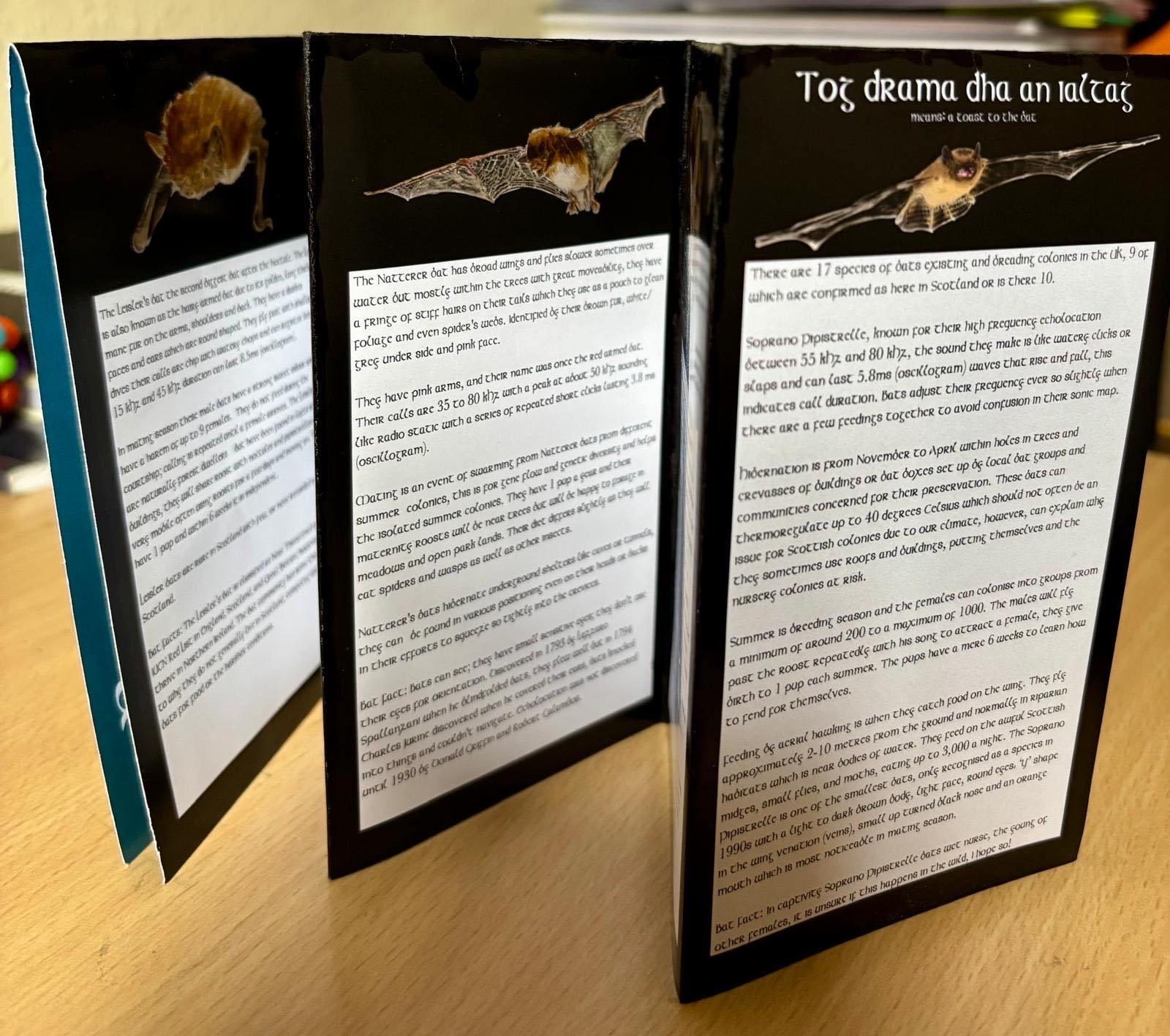 Bat leaflet