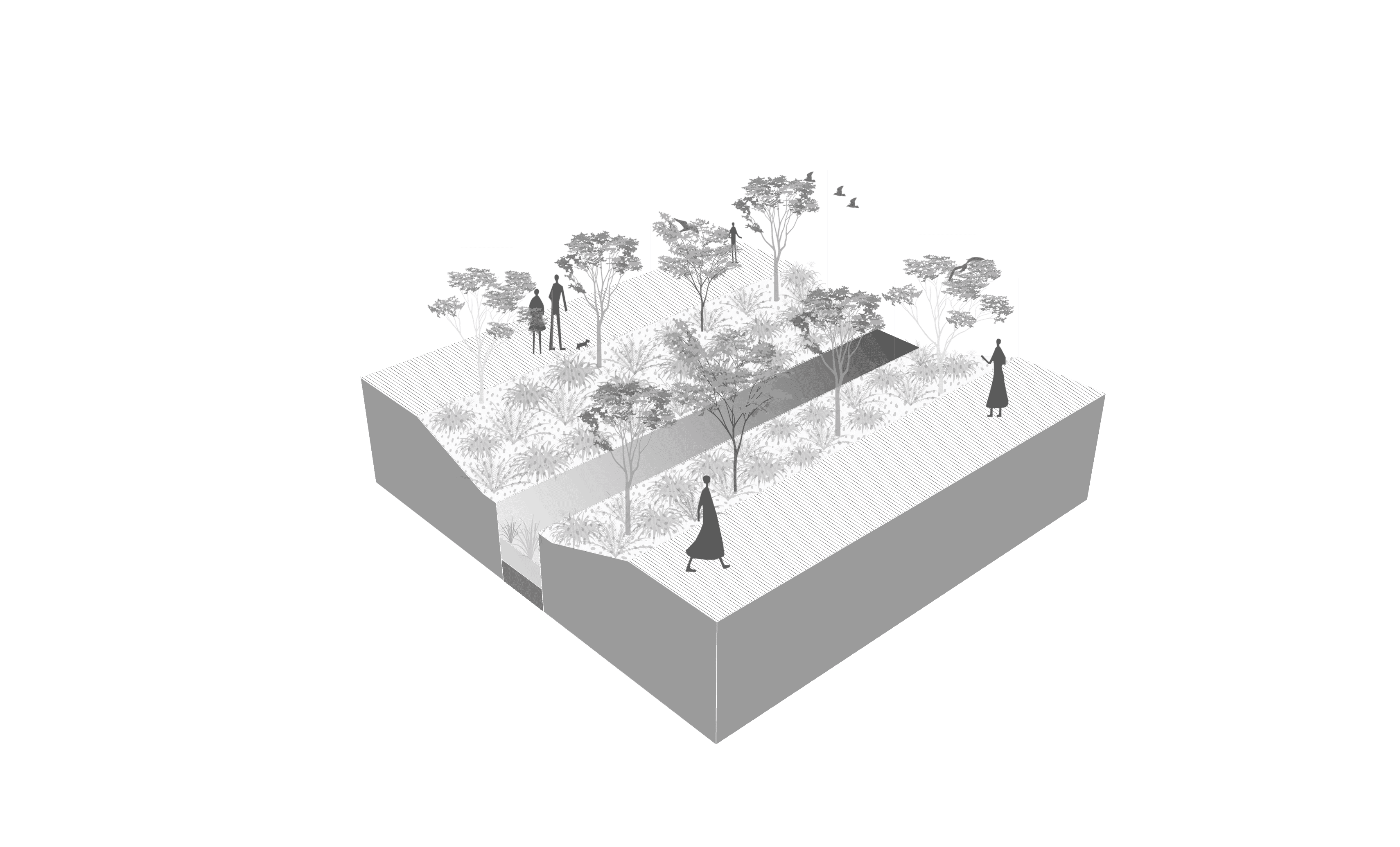 Bioswale landscape strategy