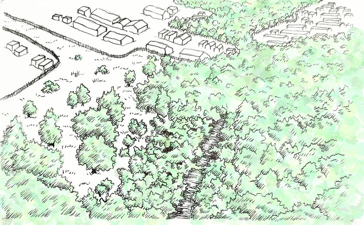 Speculative future drawing of woodland landscape