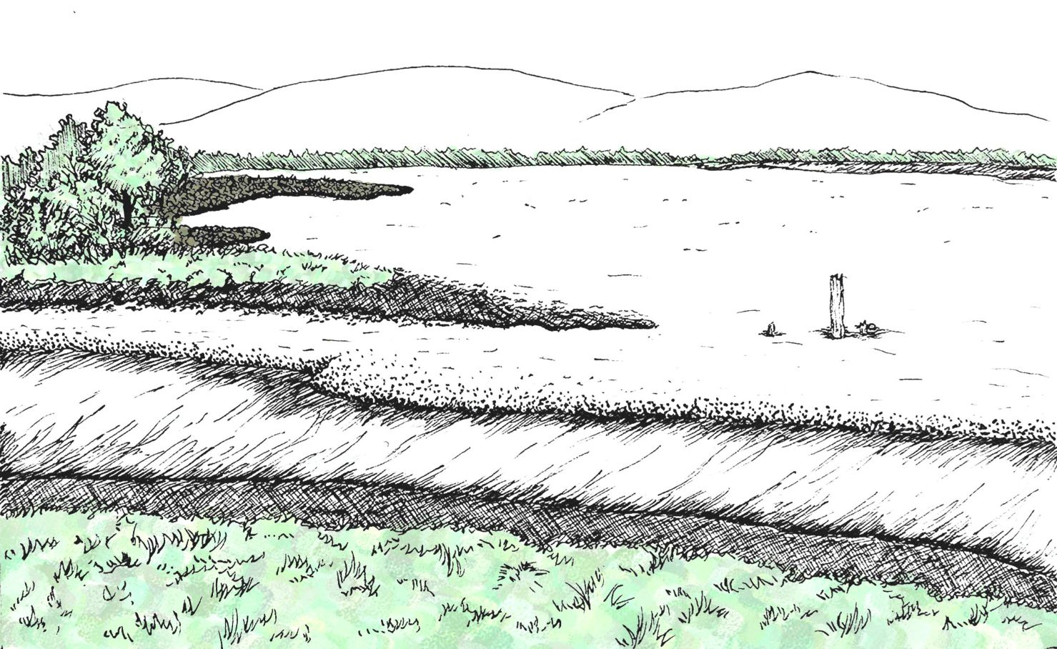 Drawing of existing conditions within coastal landscape