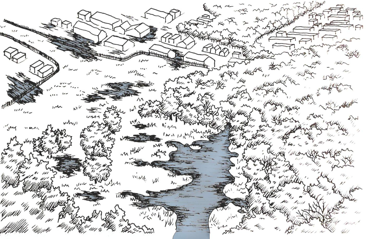 Speculative flood drawing of woodland landscape