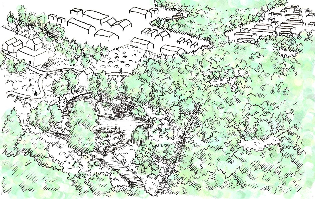 Speculative social future drawing of woodland landscape
