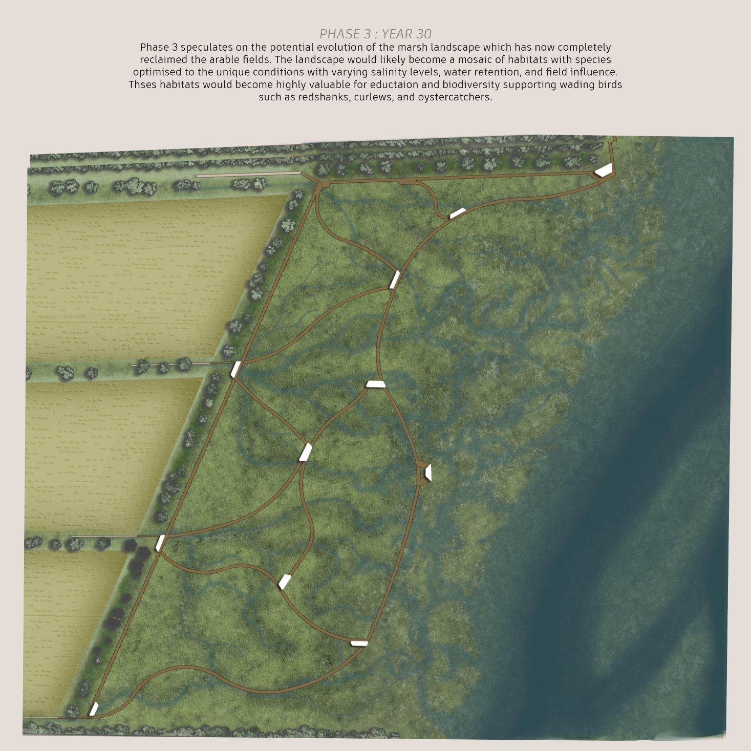 Coastal design implementation drawing phase 3