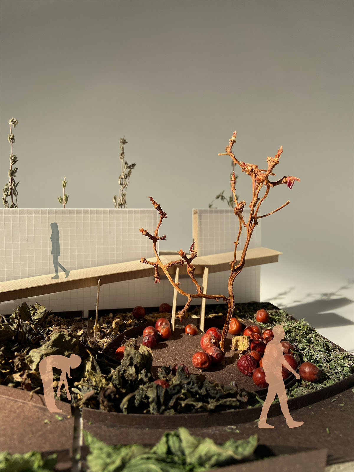fragment model of paradise garden