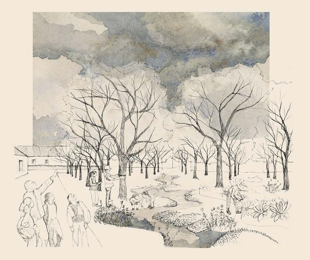 perspective of tree grove at Spectacle garden