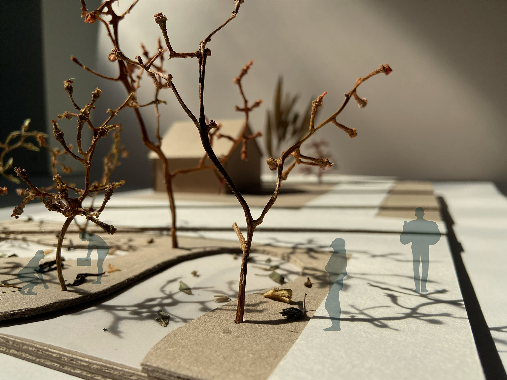detail of tree grove