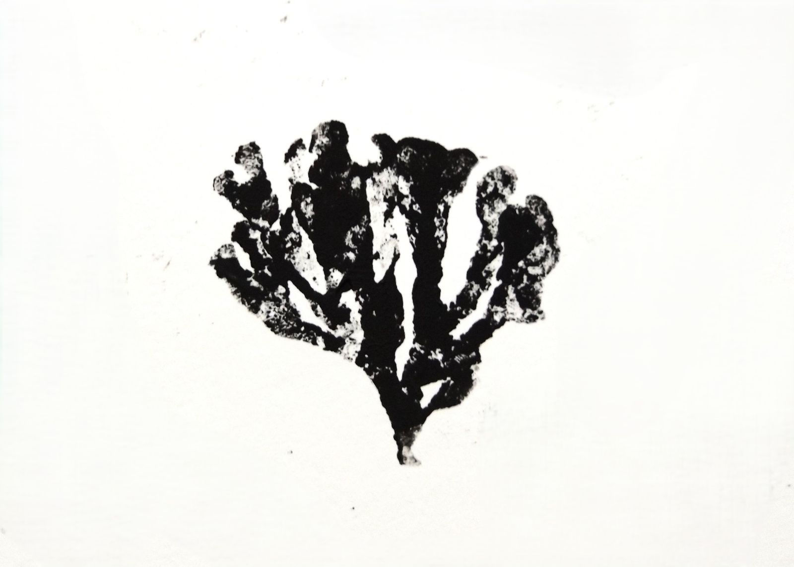 Print