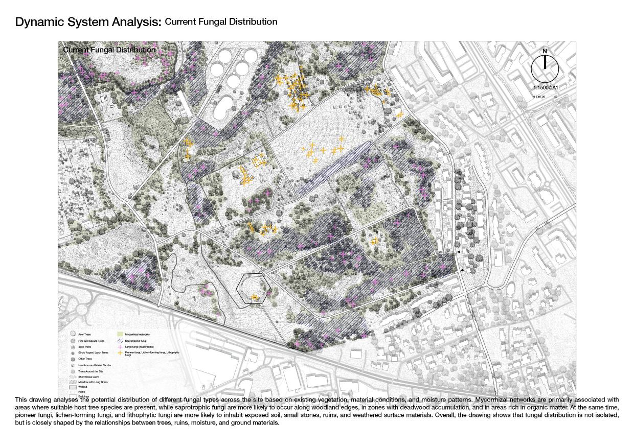Dynamic System Analysis: Current Fungal Distribution