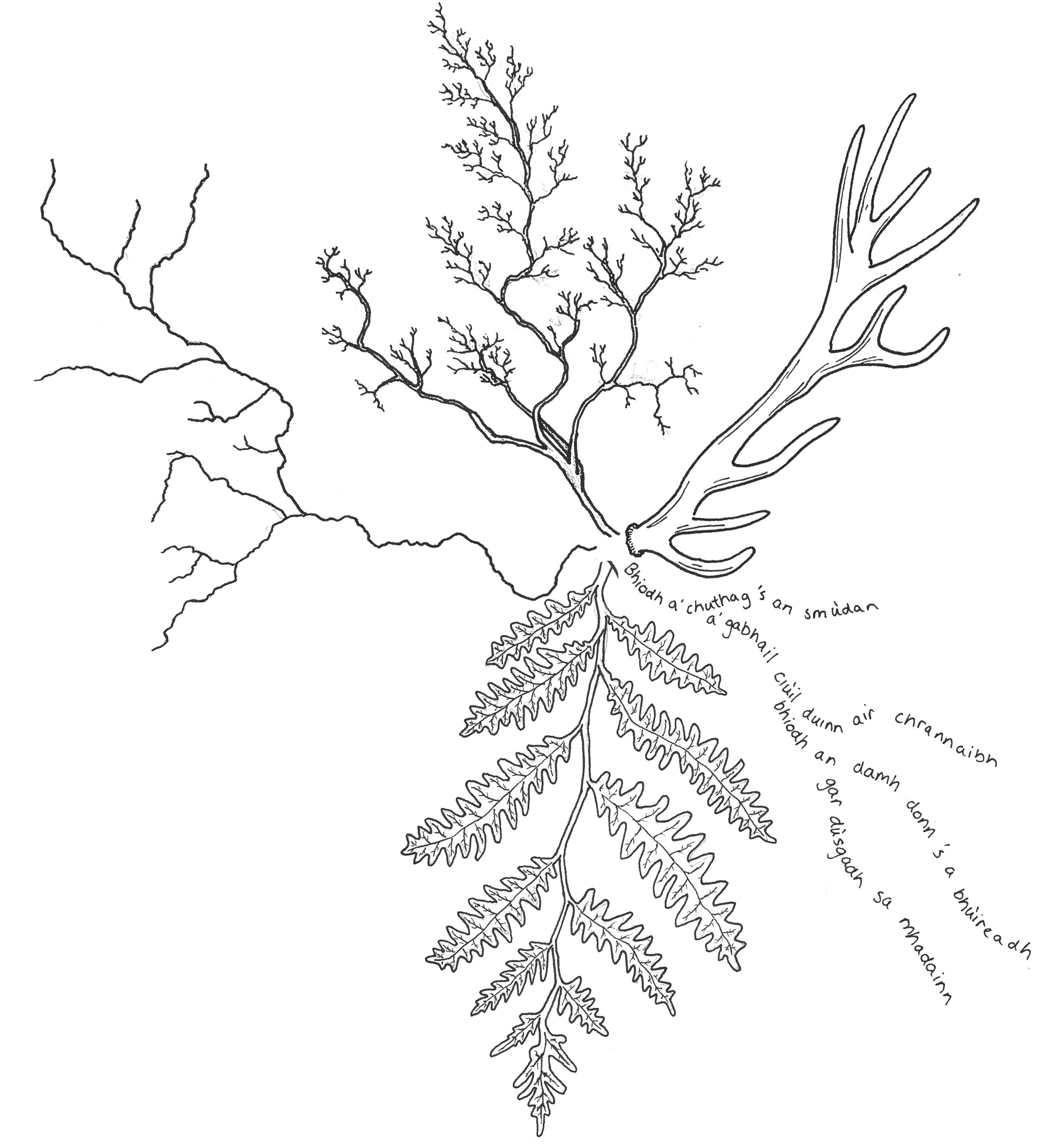 Composite drawing of roots, gaelic, deer antlers, bracken and water bodies in a dynamic arrangement 