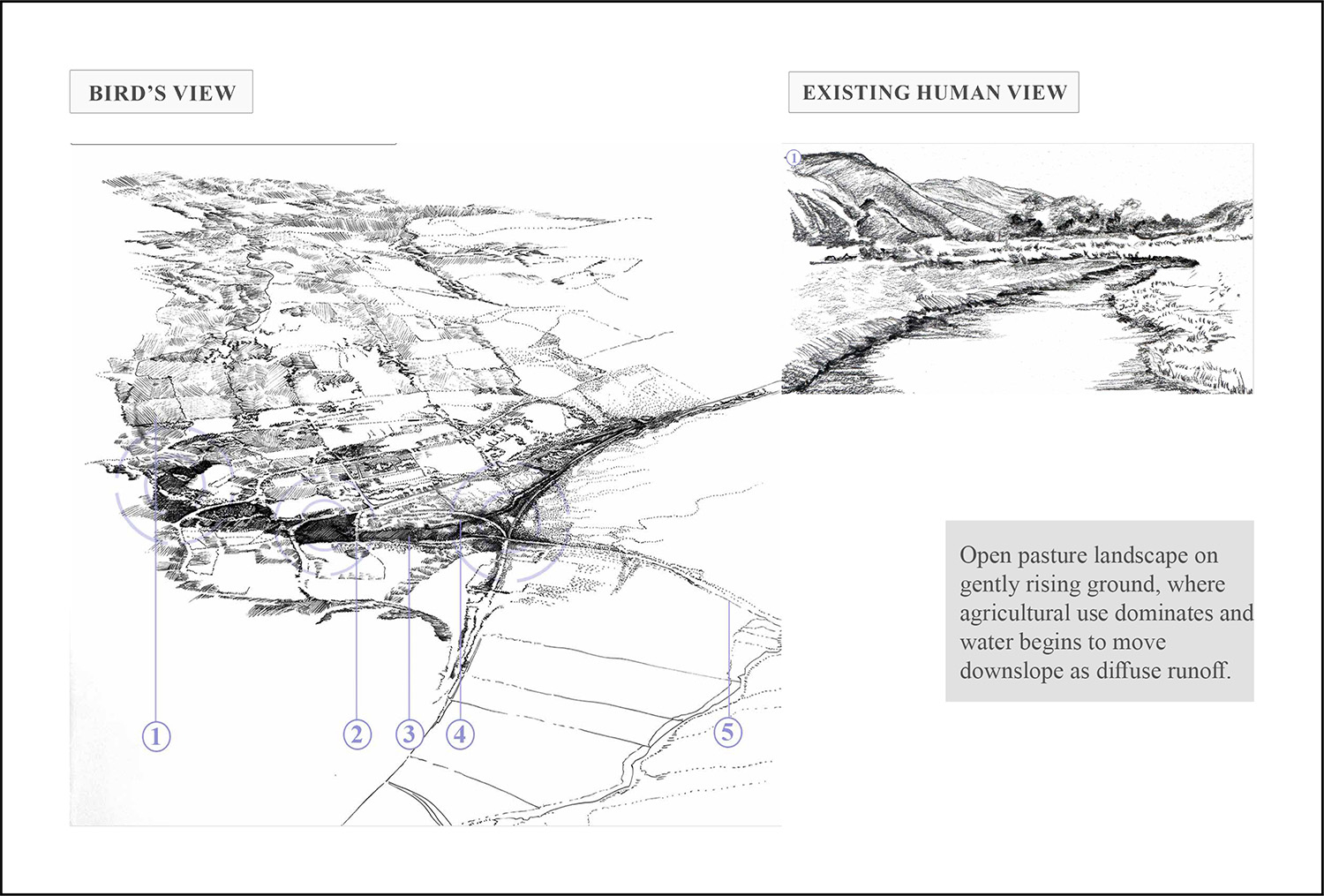 Existing human view