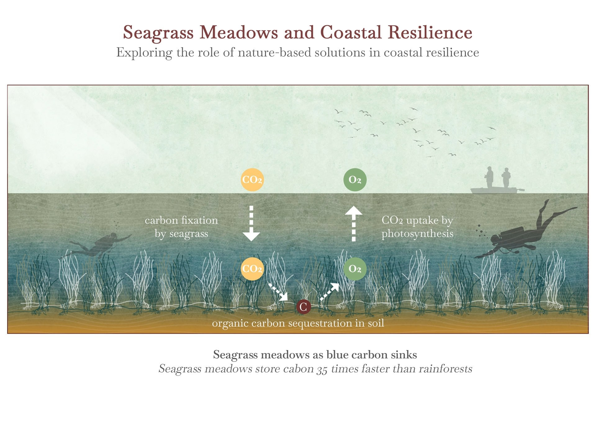 EGRC, nature-based solutions in coastal resilience