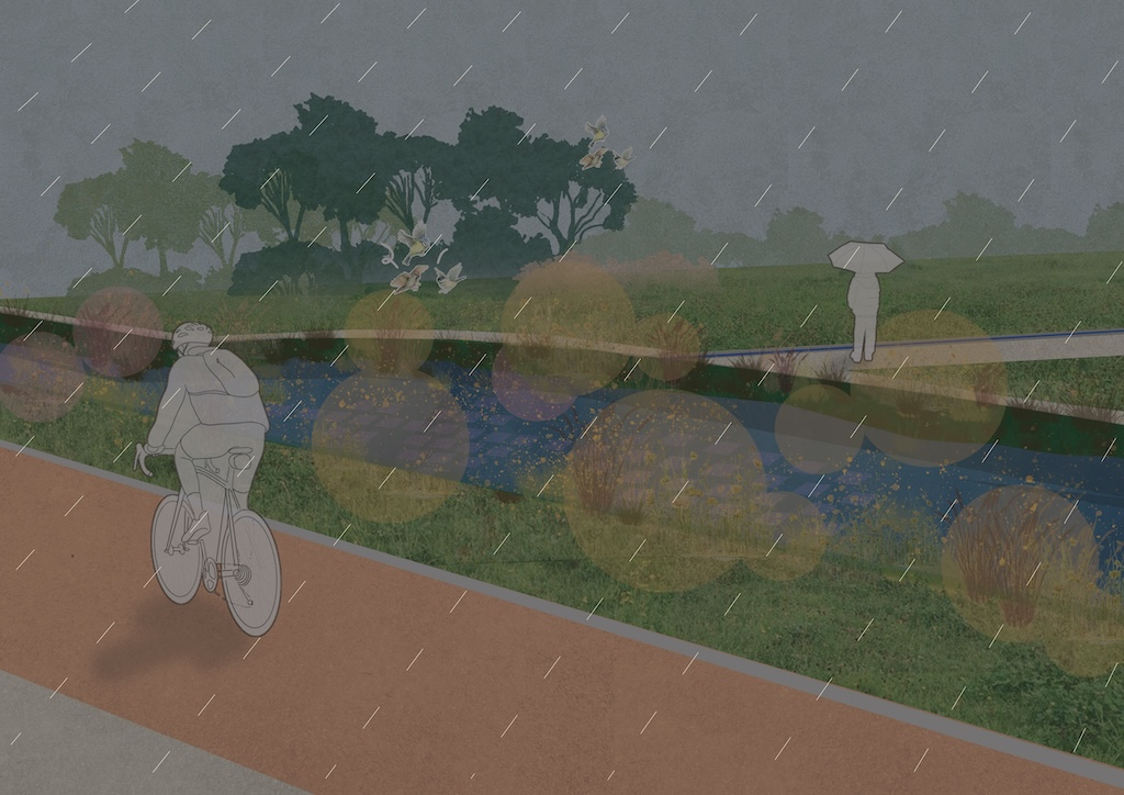 Winter visual along the pedestrian rain gardens 