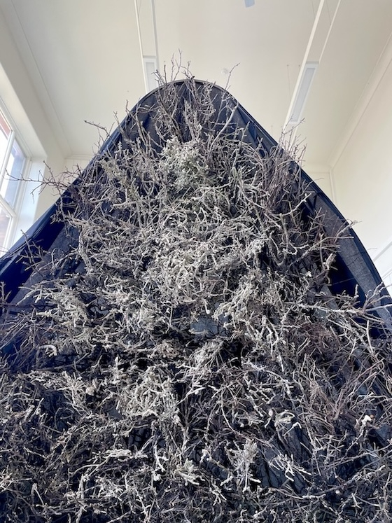 Blackthorn / Cailleach