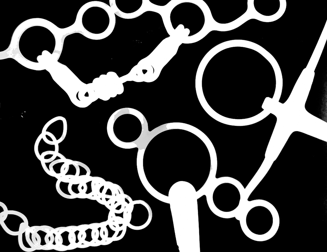Photogram bits.