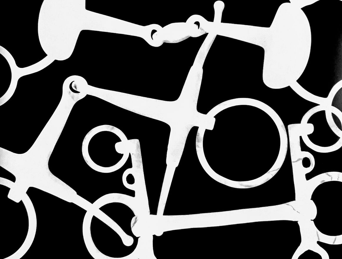Photogram bits. 