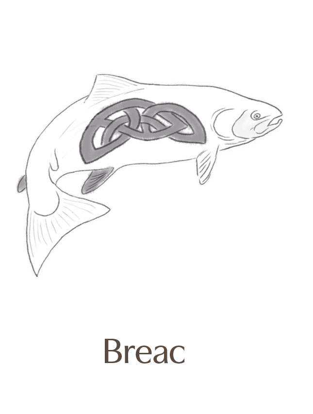 Salmon with celtic design