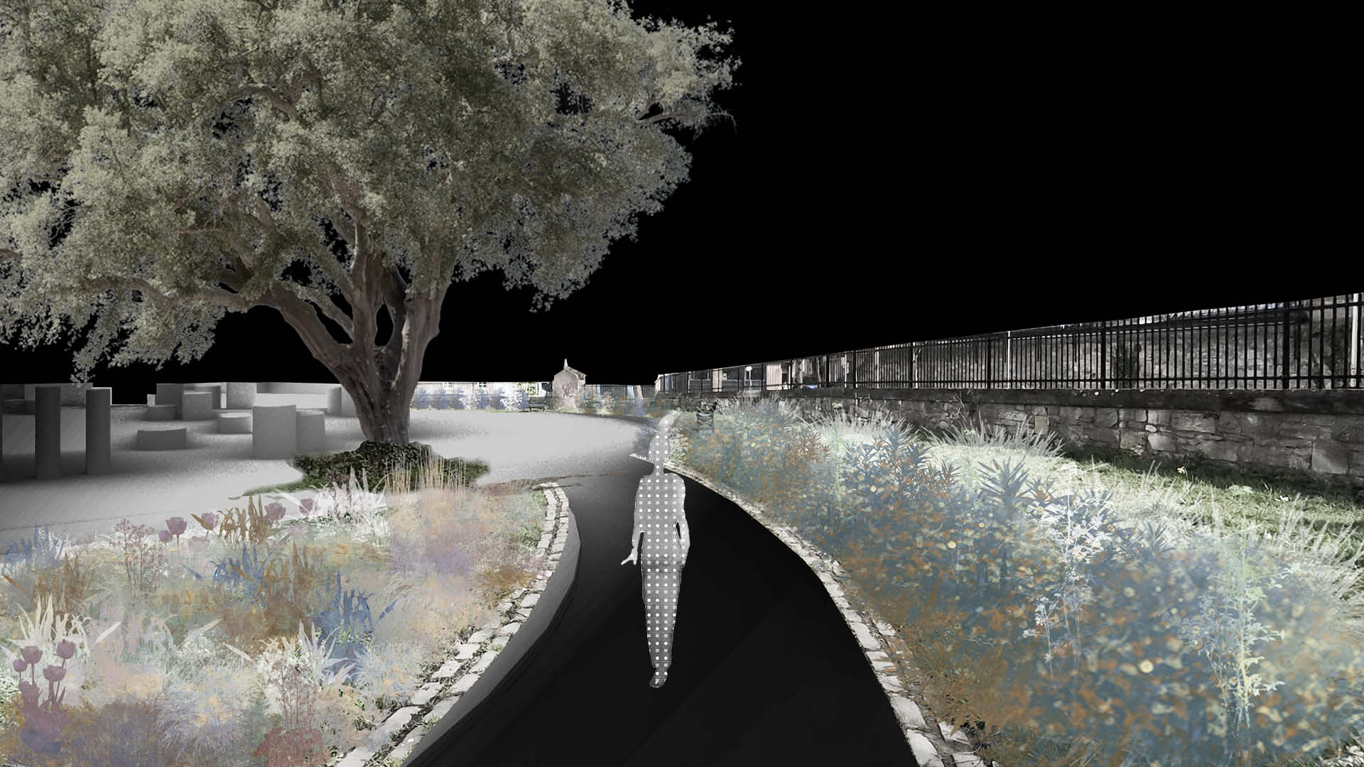 Third view in the sequence. The path bends, and gaps in the planting begin to reveal glimpses of open space ahead. The transition from enclosed ecology zone to the more open performance zone is beginning.