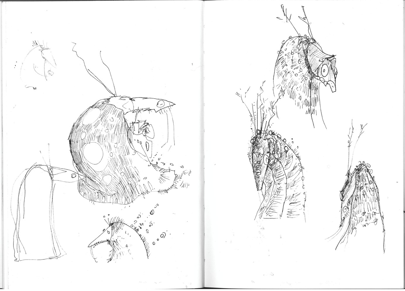 Leshy character designs
