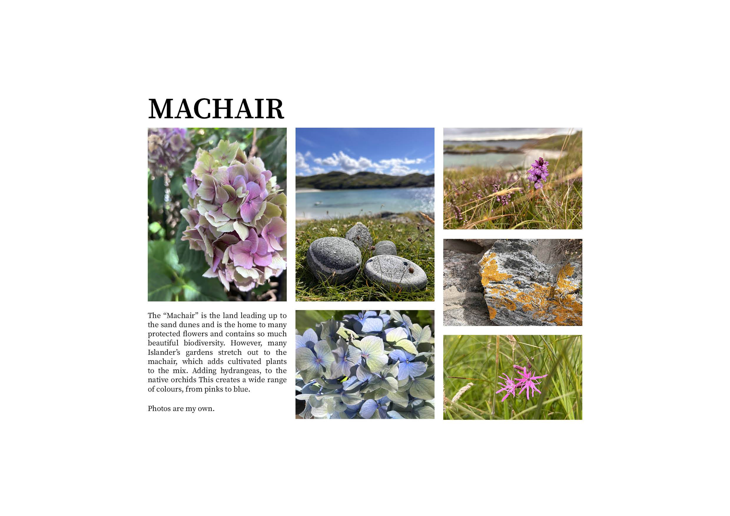 Machair