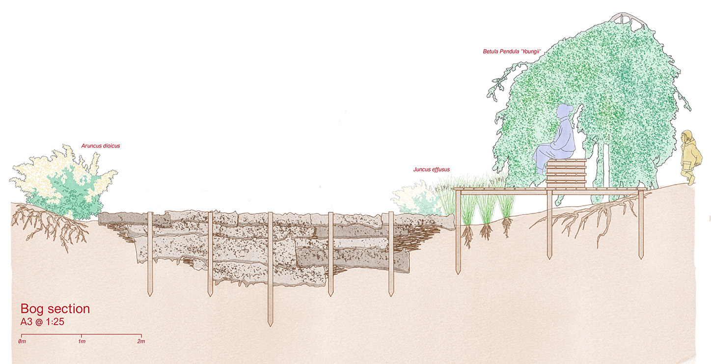 Section displaying learning area in wetland