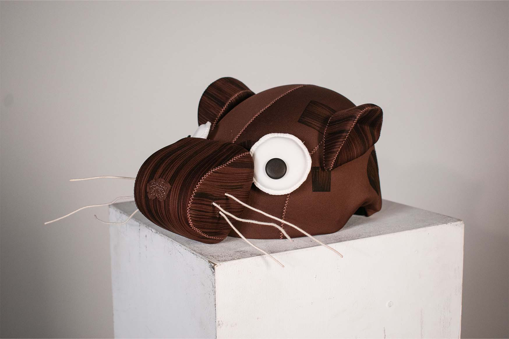 helmet