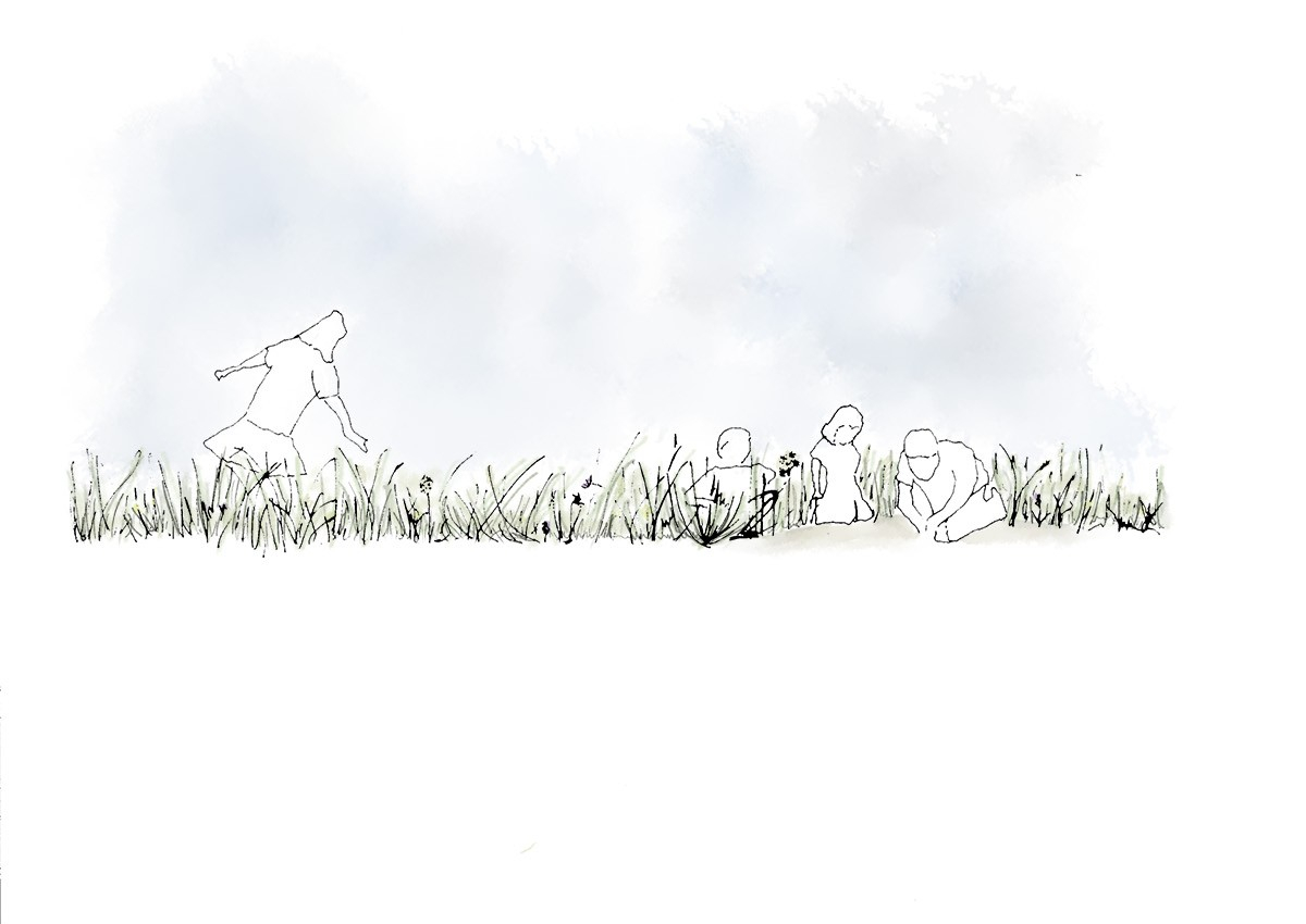 Risky play zone - view of children playing in meadow grasses