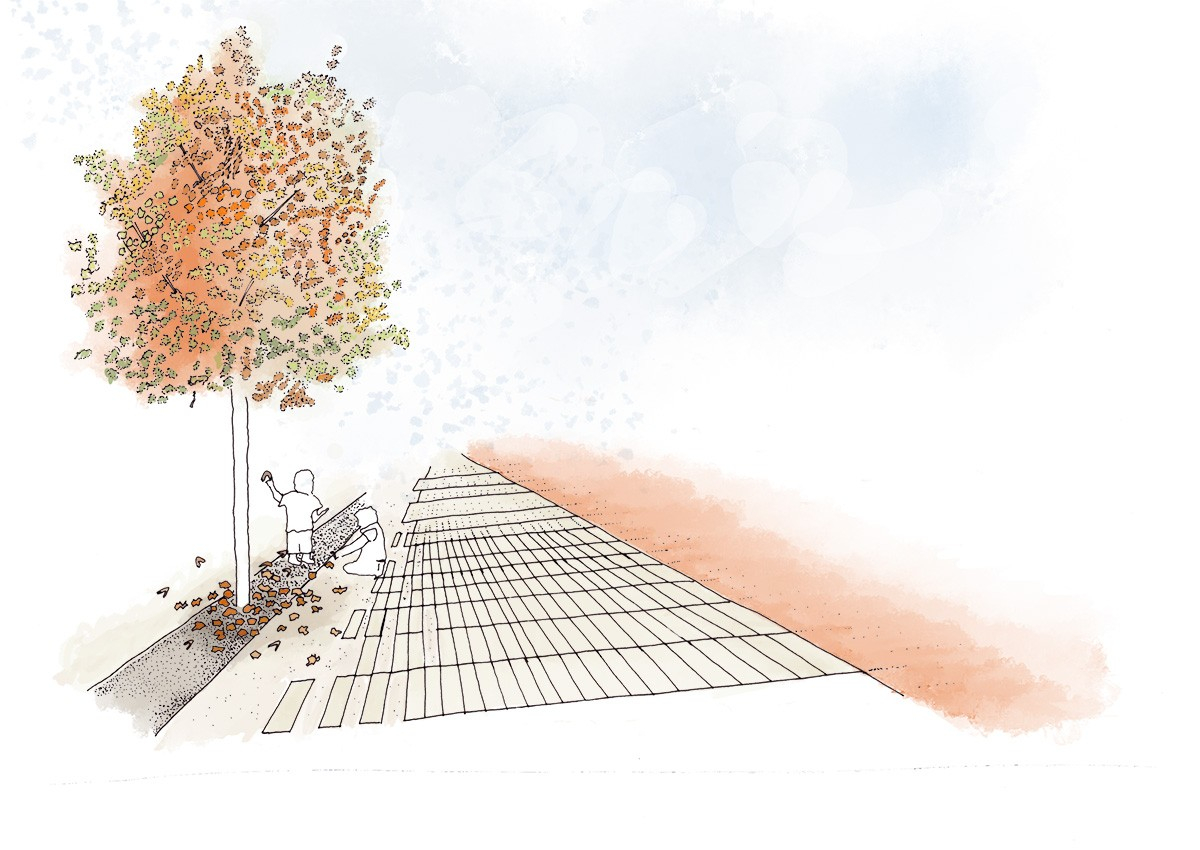 Formal play zone - view of children playing with the fruits of trees next to the path 