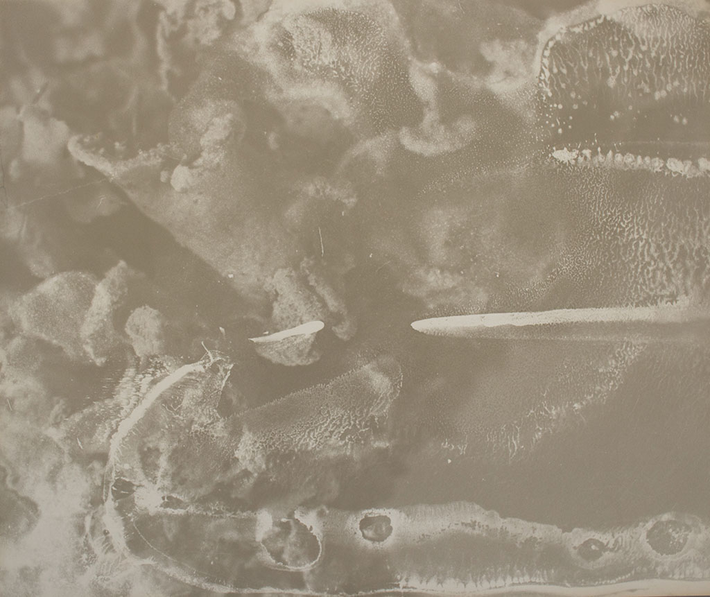 Microscope image of leaf, layered with watercolour