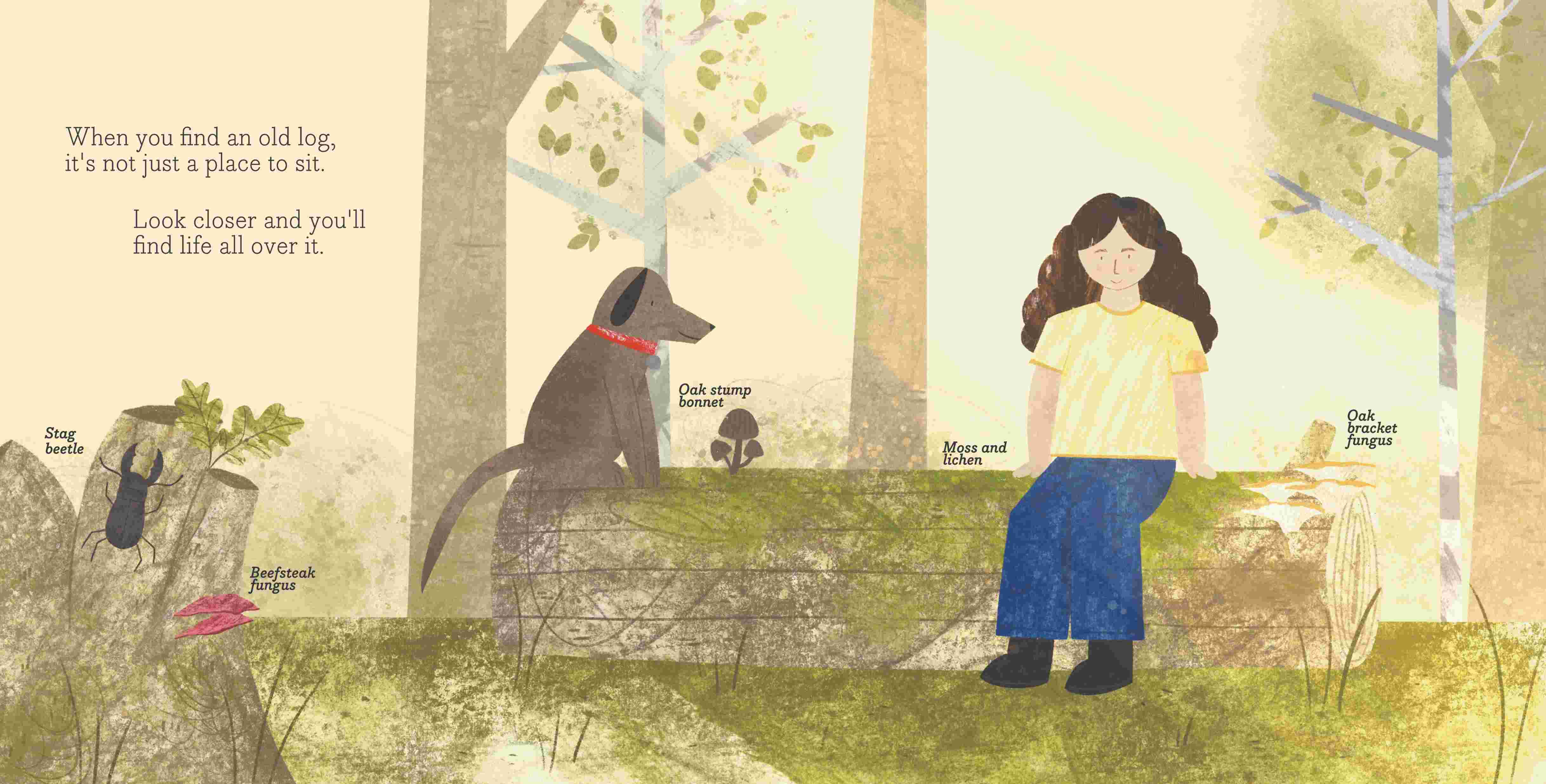 Illustration of a child and her dog sat on a log in a woodland.