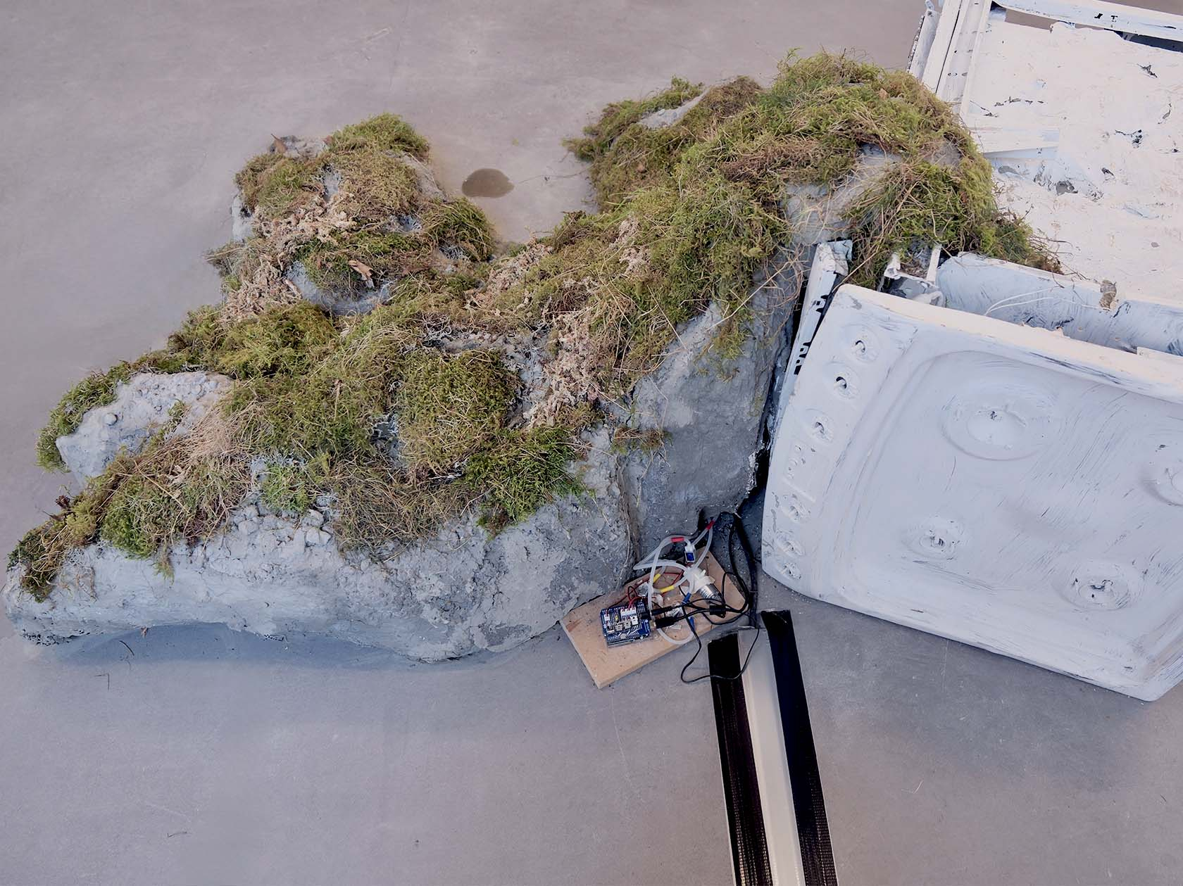 Nothing is True, Everything is Alive, concrete, moss, motors, resin oven, 100 x 150 cm, May 2026