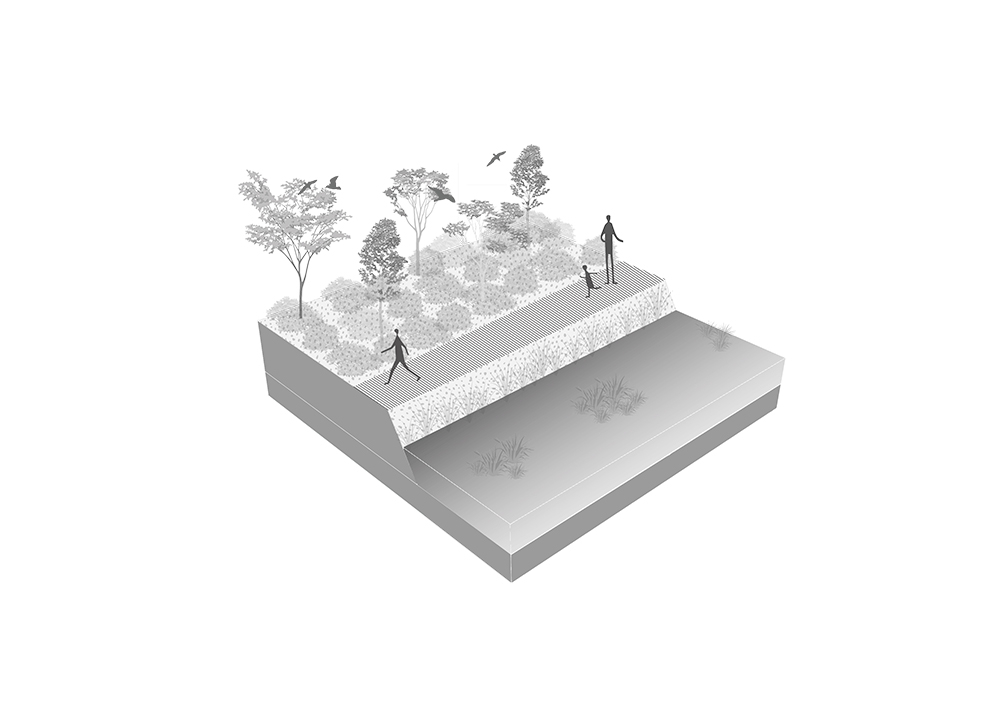 Water basin landscape strategy