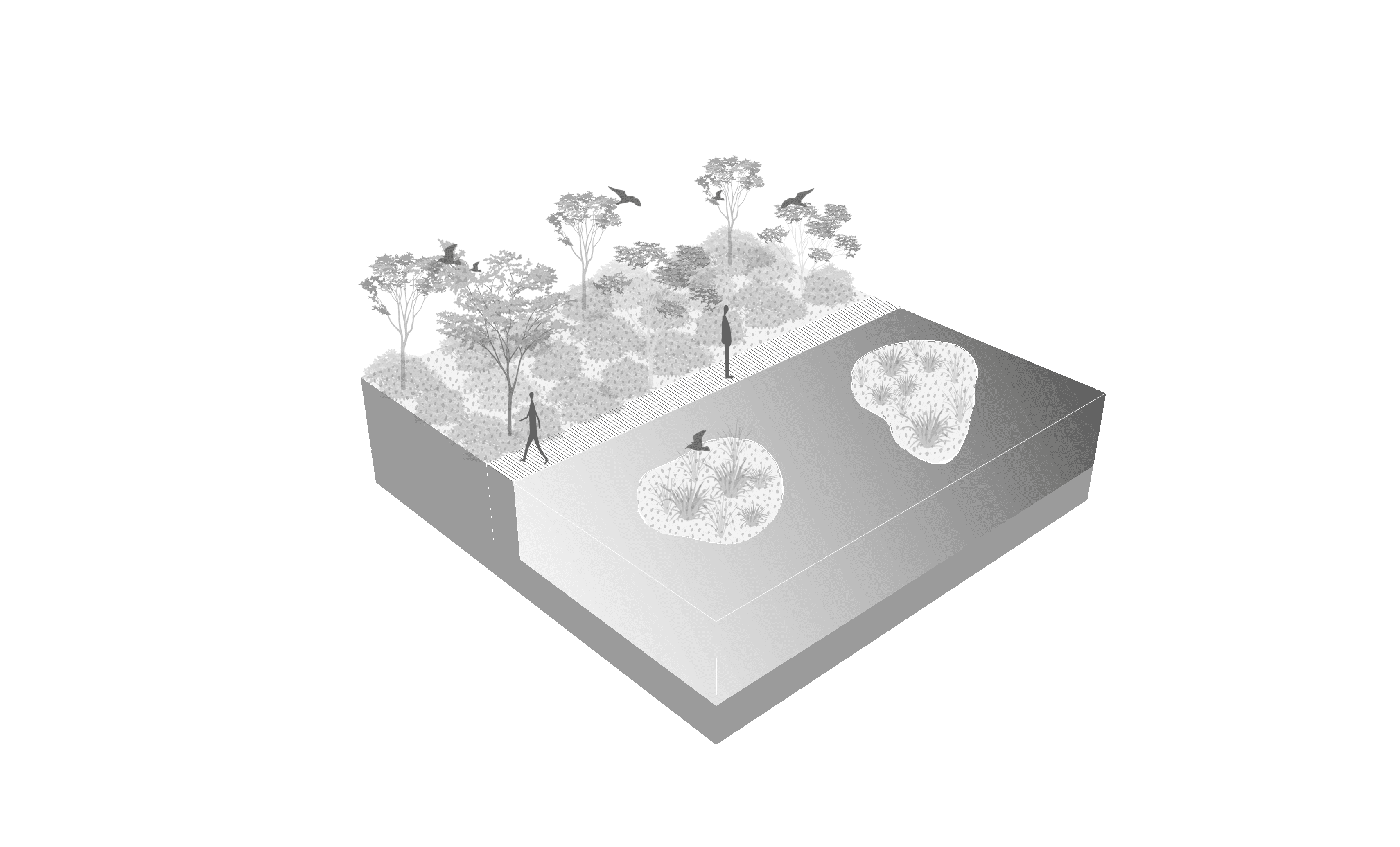 Wetland basin landscape strategy