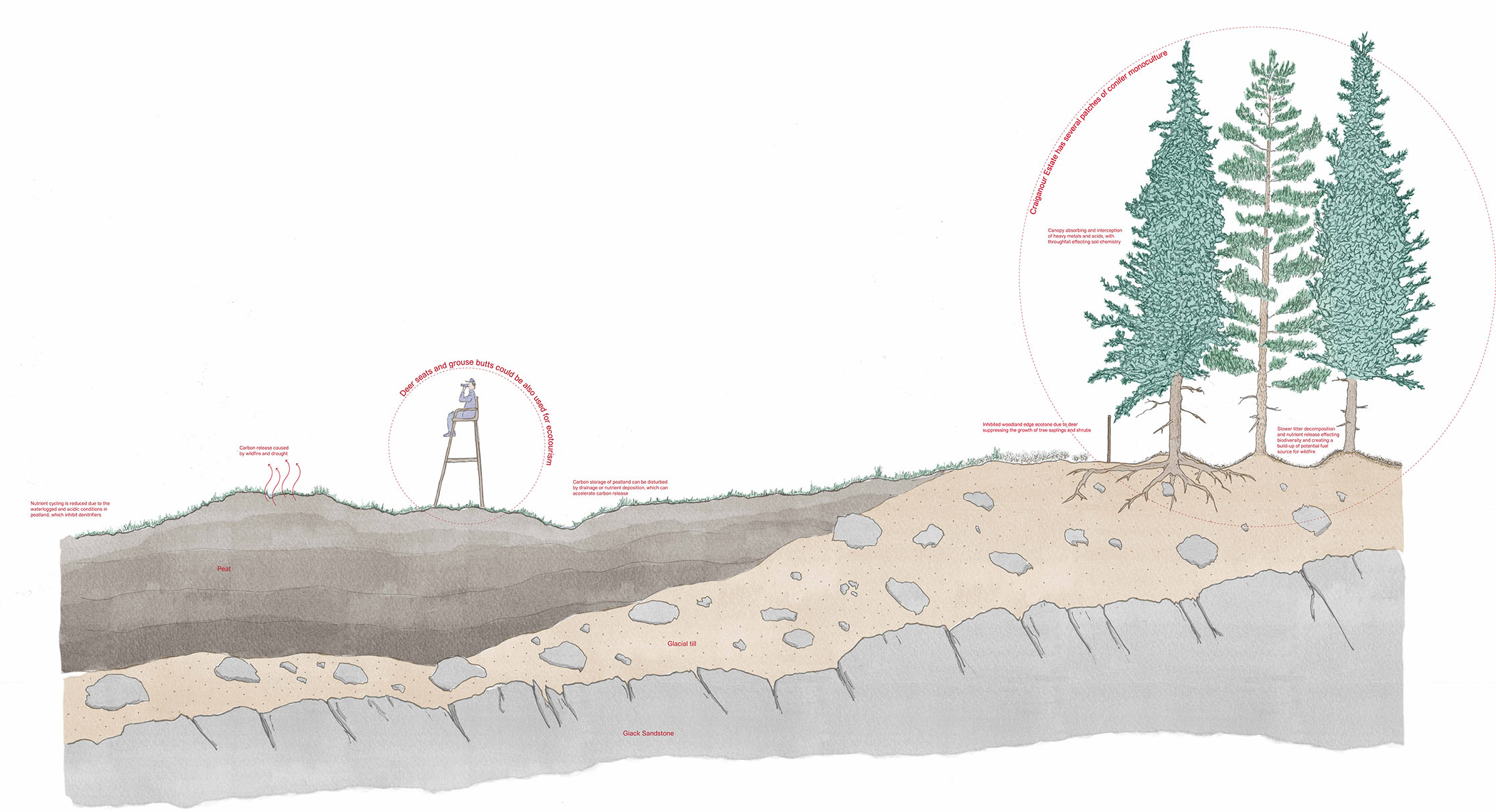 Upland Highland section looking at Peatland and plantation forestry and their fuel potential for wildfires