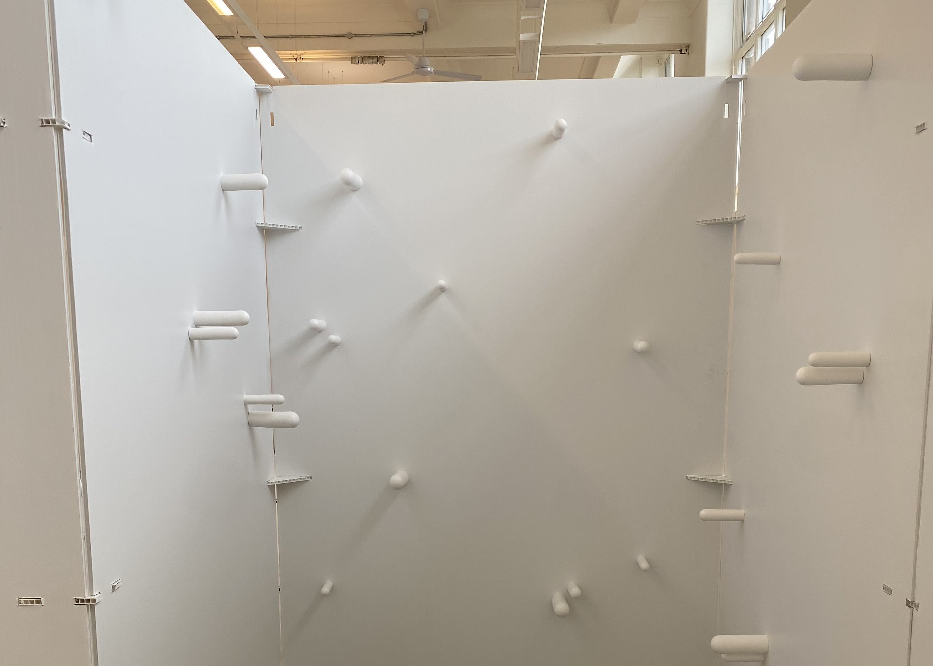 Plaster casts of dilators installed on Correx walls.