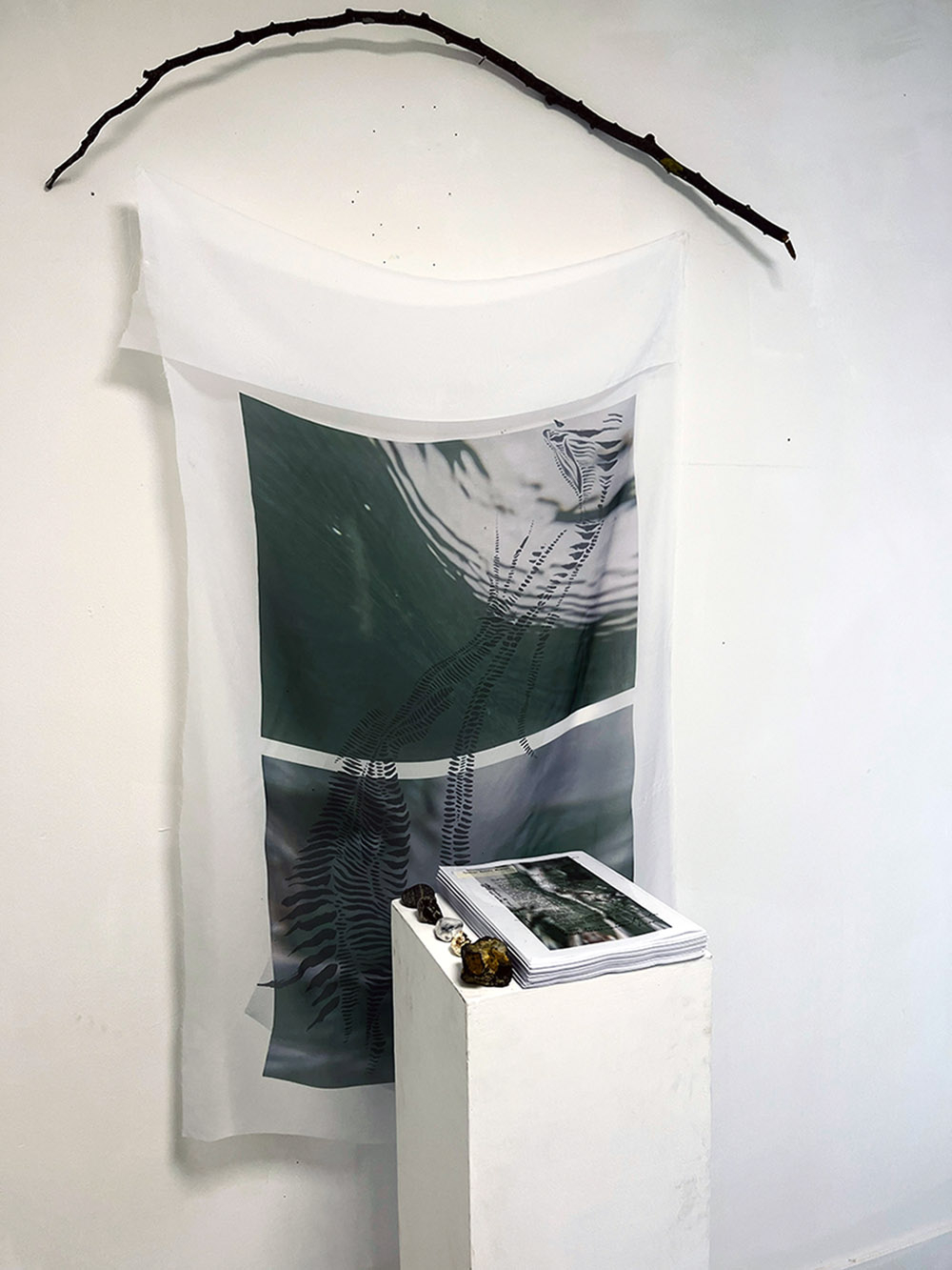 Photograph of sublimation print hanging from branch with archives and collected stones on a plinth.