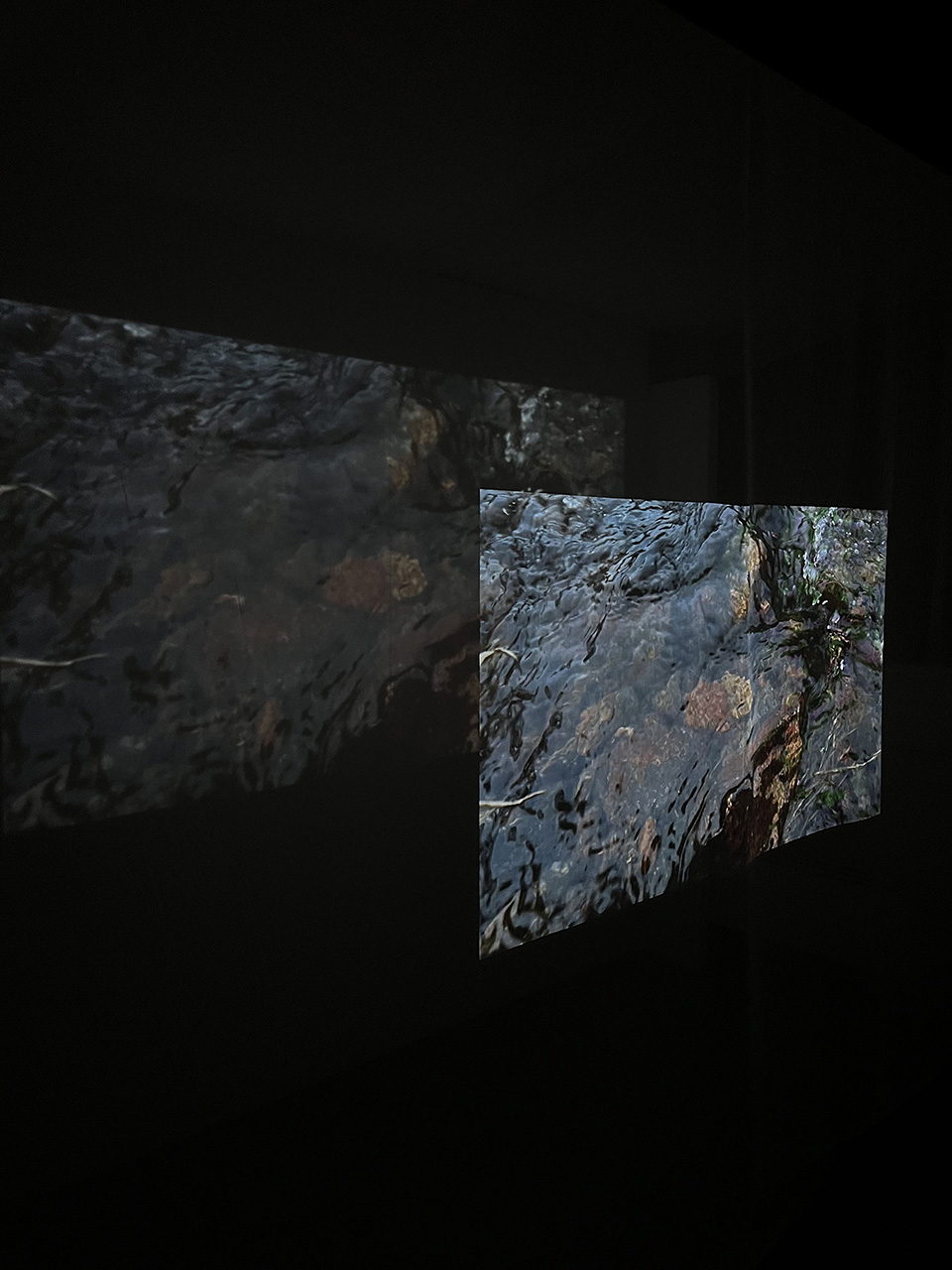 Photograph of projected film in dark room showing the surface of a river.